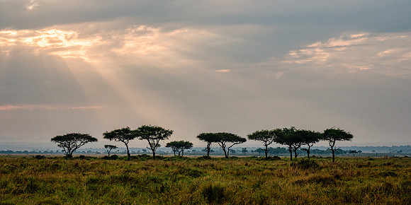 20240726_JSP_Africa_Kenya_846