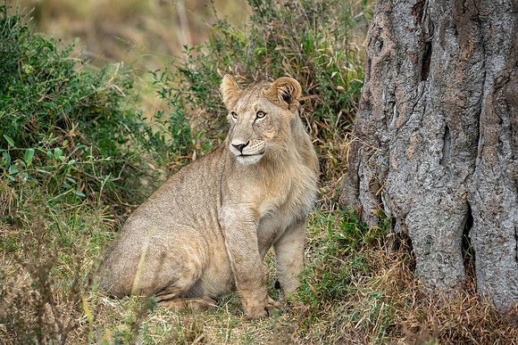 20240726_JSP_Africa_Kenya_1011