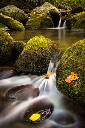 20161013_JMS_SmokyMnts_0039_608_609
