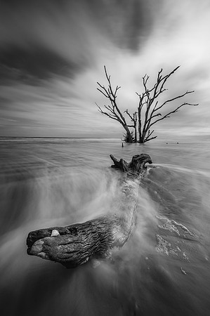 20240325_JMS_SC_Lowcountry_491-89