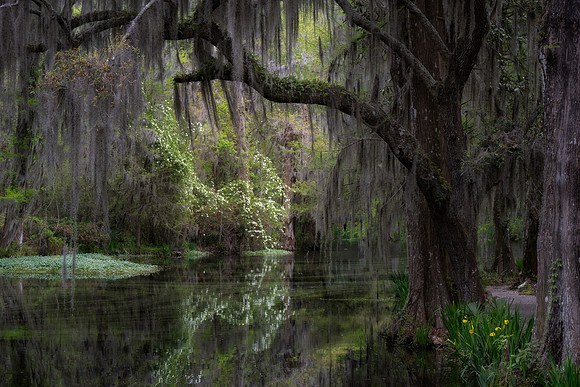 20240326_JMS_SC_Lowcountry_653-96