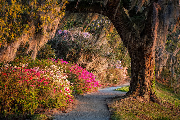 20240324_JMS_SC_Lowcountry_366-97