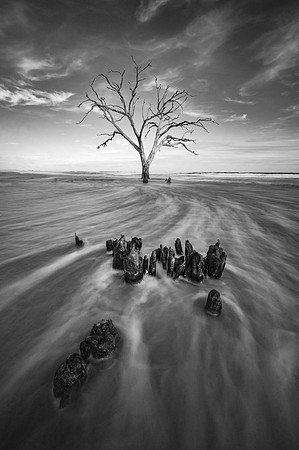 20240325_JMS_SC_Lowcountry_532-121