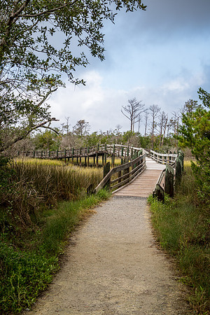 20200925_JMS_NC_EmeraldIsle_0548