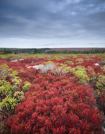 20201004_JMS_WV_0119-151