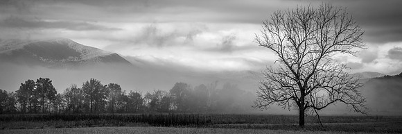 Silkstone-141018_0340