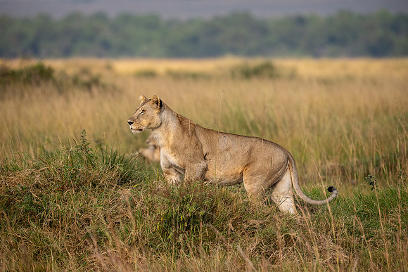 20240726_JSP_Africa_Kenya_1239