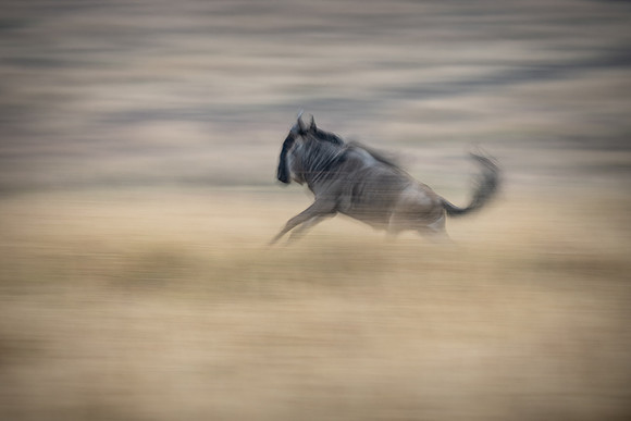 20240730_JSP_Africa_Kenya_2256