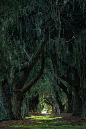 20220814_JMS_GA_GoldenIsles_0402-664