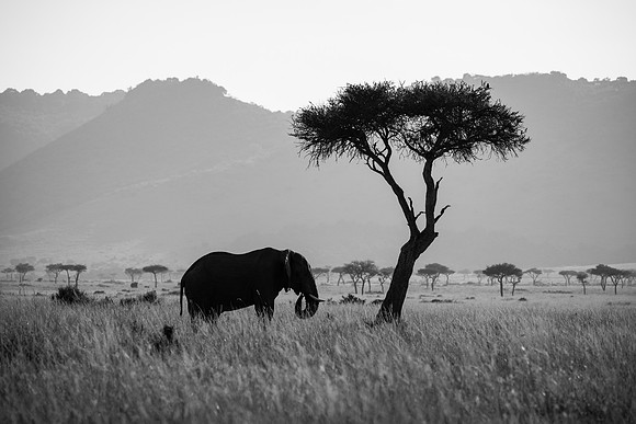 20240724_JSP_Africa_Kenya_184