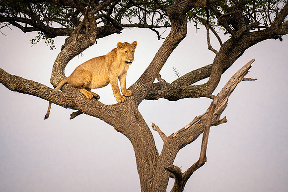 20240726_JSP_Africa_Kenya_1181