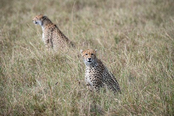 20240728_JSP_Africa_Kenya_1764