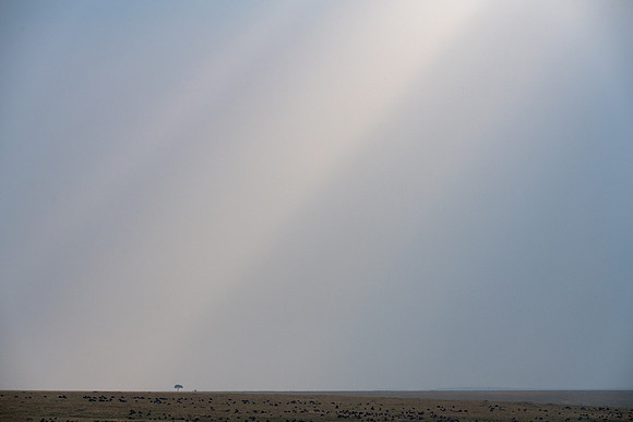 20240729_JSP_Africa_Kenya_2158