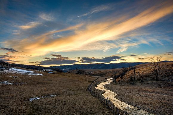 Silkstone-140308_0256_7_8-1826