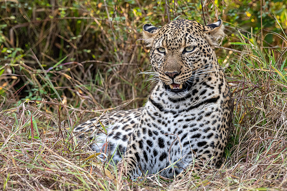 20240728_JSP_Africa_Kenya_1699