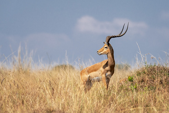 20240725_JSP_Africa_Kenya_661-191