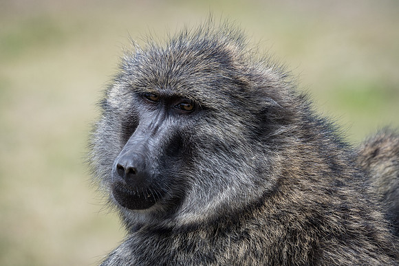 20240724_JSP_Africa_Kenya_094