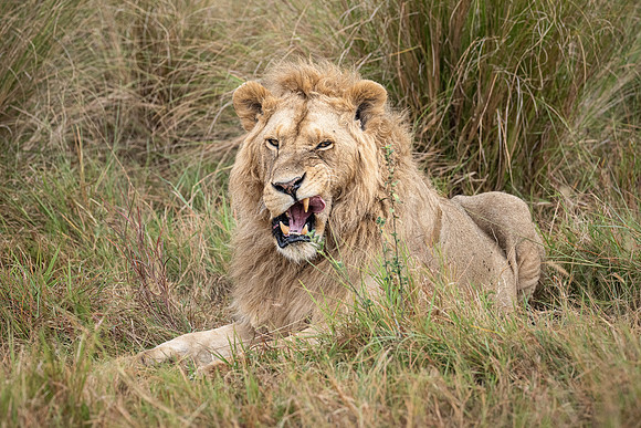 20240726_JSP_Africa_Kenya_1137