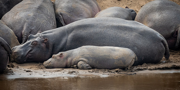 20240728_JSP_Africa_Kenya_1939