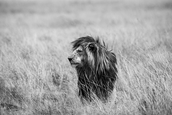 20240729_JSP_Africa_Kenya_2084-199