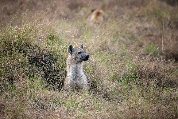 20240729_JSP_Africa_Kenya_2144-195