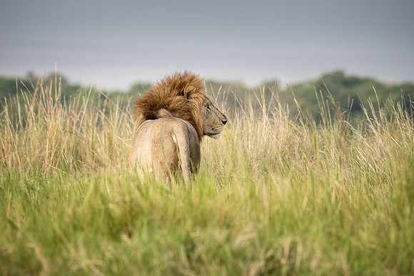 20240726_JSP_Africa_Kenya_1272
