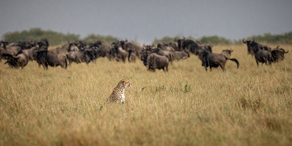 20240728_JSP_Africa_Kenya_1712