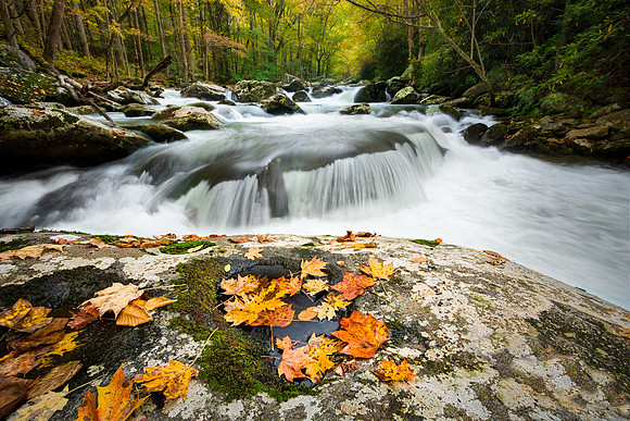 Silkstone-141017_0262_13