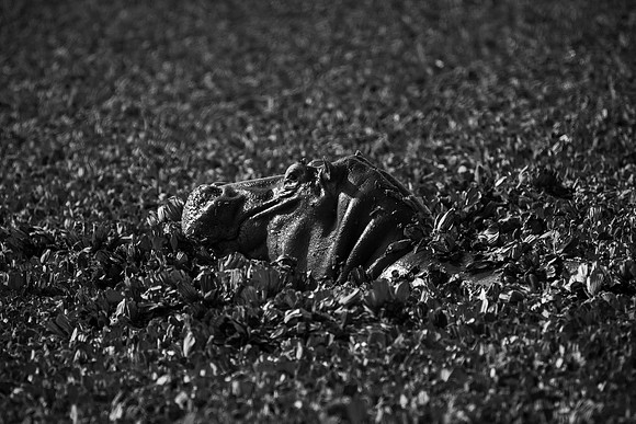 20240727_JSP_Africa_Kenya_1453