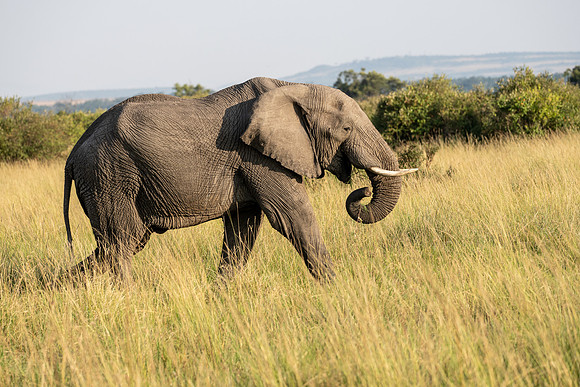 20240724_JSP_Africa_Kenya_193
