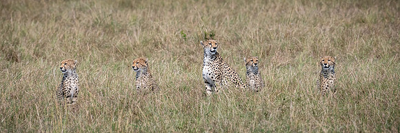 20240728_JSP_Africa_Kenya_1832