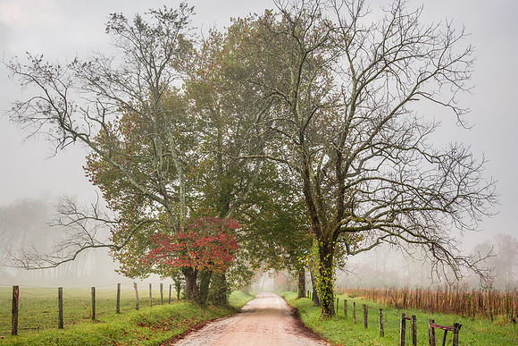Silkstone-141018_0322