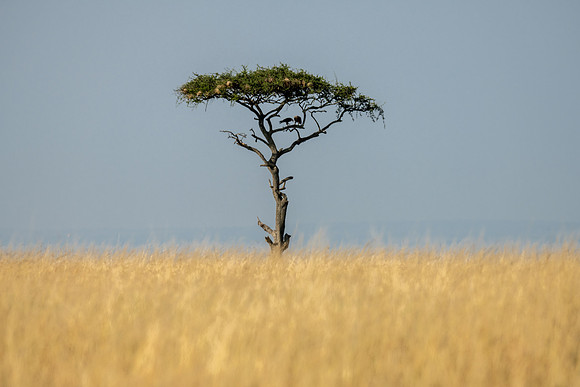 20240725_JSP_Africa_Kenya_629