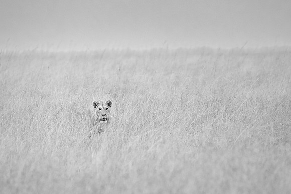 20240731_JSP_Africa_Kenya_2363