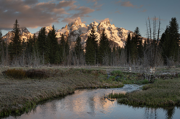 250507-JSP-WY-GrandTetonsNP-609
