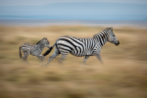 20240730_JSP_Africa_Kenya_2266-201