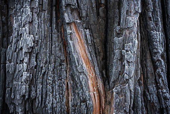 250316-JSP-YosemiteNP_CA-78