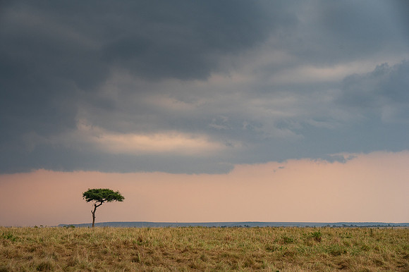 20240730_JSP_Africa_Kenya_2329