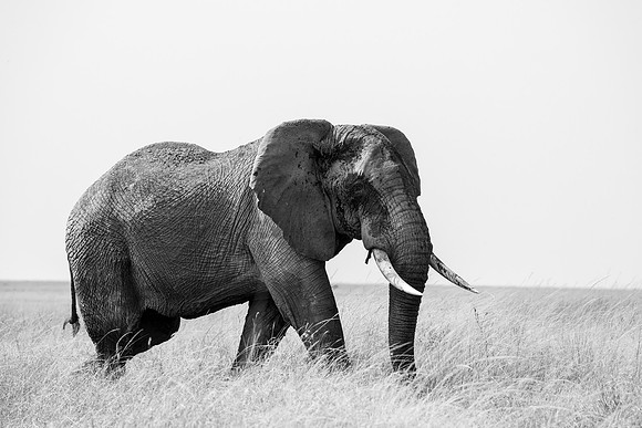 20240727_JSP_Africa_Kenya_1466