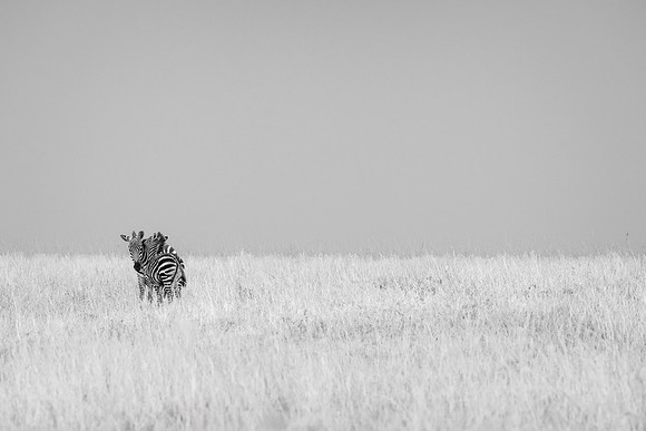20240729_JSP_Africa_Kenya_2192-205